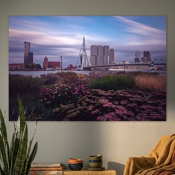 Kop van Zuid von Leuvehoofd