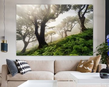 forest on Madeira von Martin Podt