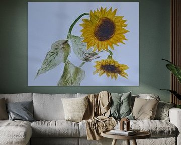 Sunfowers  B