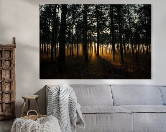 Aperçu de la chambre