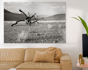 verstilde boom nabij dune 7 (Sosusvlei) in Namibië van Jan van Reij