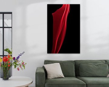 The curtain