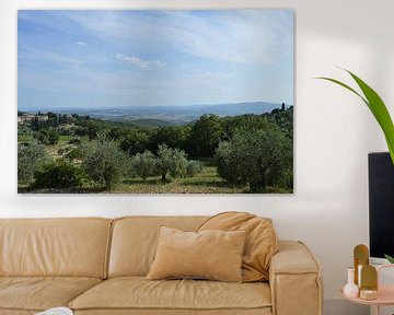 Italiaans uitzicht olijfgaard