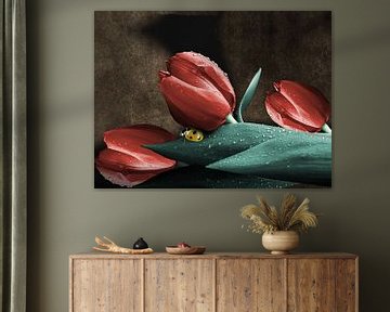 Lady Bug sur des tulipes sur Harald Fischer