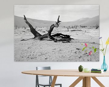 Deathvlei in Namibia by Jan van Reij