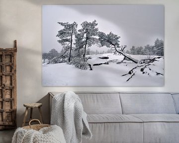 De winterdag in bergen in Zweden by Olga Ilina