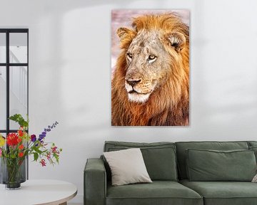 Male lion, Africa wildlife van W. Woyke