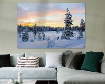 Pad door de sneeuw met mooie lucht in Fins Lapland van R.Phillipson