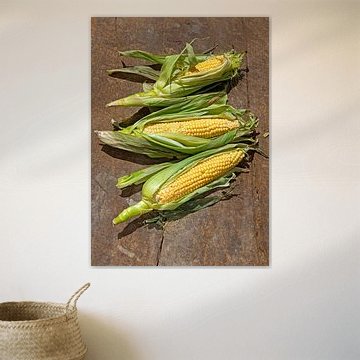 corn0232 by Liesbeth Govers voor Santmedia.nl