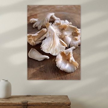 paddestoel0404 van Liesbeth Govers voor Santmedia.nl