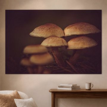 Herbst, Pilze im Wald - 2 von Marianne Twijnstra