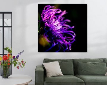 Wilde paarse bloem van Danny van den Berg