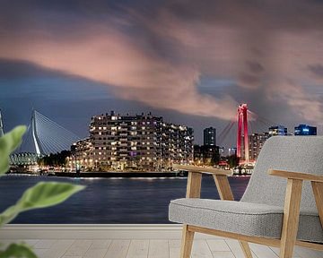 Rotterdam Noordereiland panorama van Martijn Kort
