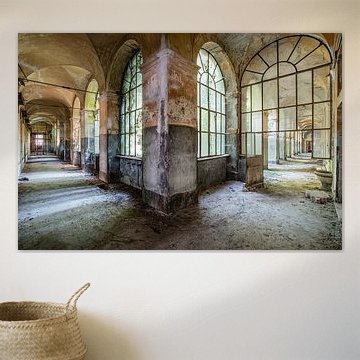 Manicomio di R van Esmeralda holman