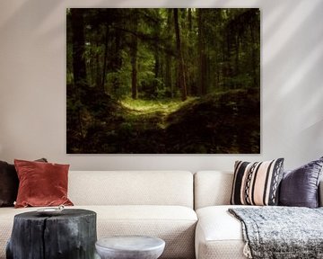 Ein stimmungsvoller dunkler Wald. von André Mesker