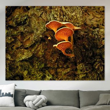 Kleine paddestoeltjes.