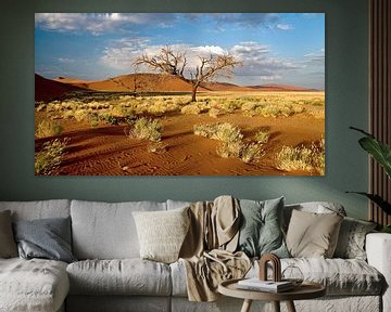 Tree near red sand dunes (Sosusvlei) in Namibia by Jan van Reij