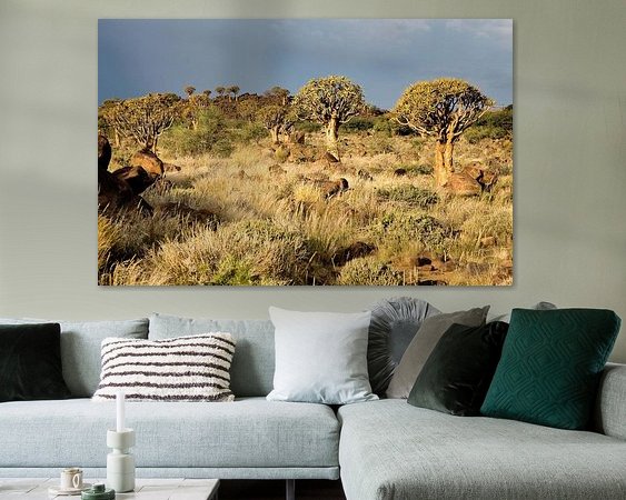 Aperçu de la chambre