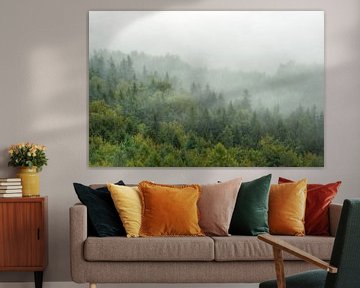 Cloud forest in Saxon Switzerland van Michael Valjak