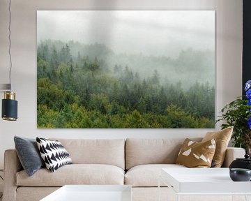 Cloud forest in Saxon Switzerland van Michael Valjak