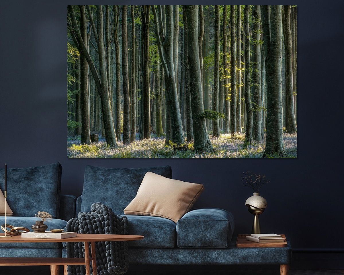 Raumvorschau