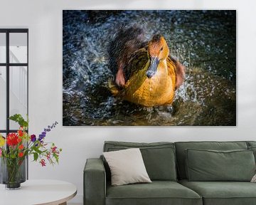Tree-duck by Sylvia Schuur