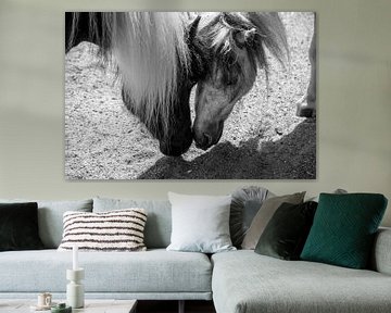 Pony's zwart/wit van Sylvia Schuur
