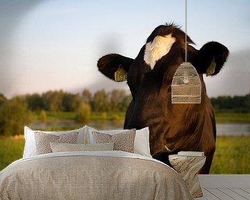 Cow von Photography by J