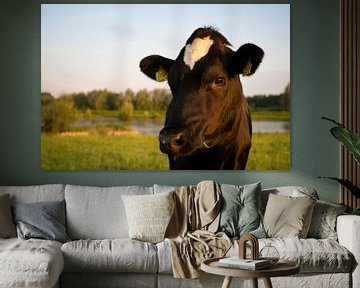Cow van Joke Absen