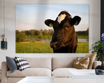 Cow van Joke Absen