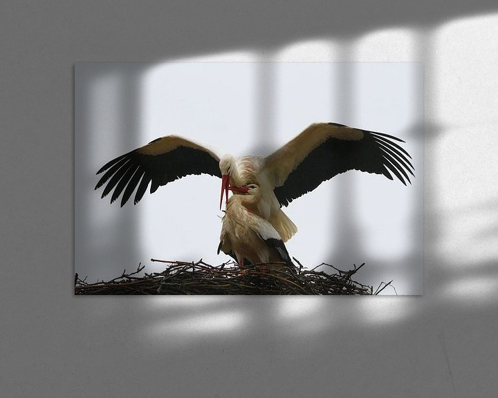 Sfeerimpressie: Vogel | Ooievaar van Larissa Bakker
