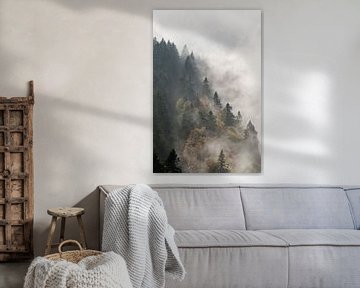 Cloud forest by Michael Valjak