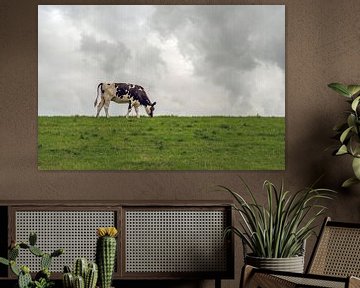 Zwartbonte koe graast bovenop een Nederlandse dijk van Ruud Morijn