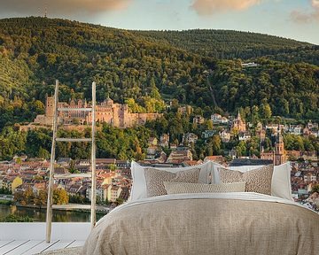 Heidelberg in der Abendsonne von Michael Valjak