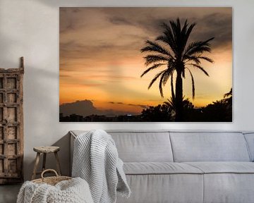 Palmboom tijdens een zonsondergang van Joost Prins Photograhy