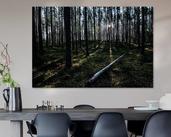 Voorbeeld van het werk in een kamer