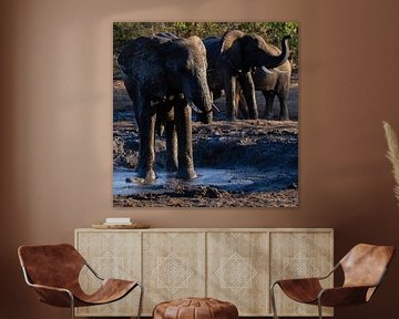 Badende olifanten bij een waterpoel by Arthur van Iterson