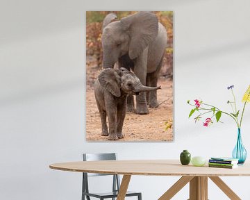 Moeder en kleine olifant in Zuid-Afrika. by Arthur van Iterson