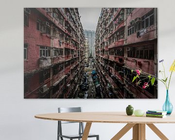 Hong Kong Urban Jungle