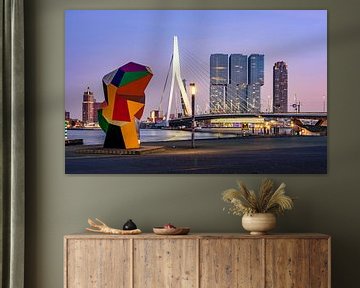 Skyline van Rotterdam , Erasmusbrug.