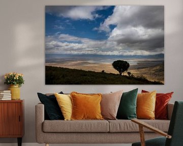 Ngorongoro Krater von Peter Vruggink