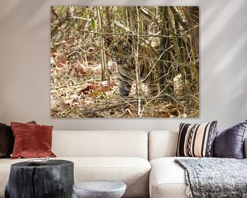 Nieuwsgierige tijger by Thea Kleinrouweler