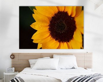 Sunflower von Geert Groot