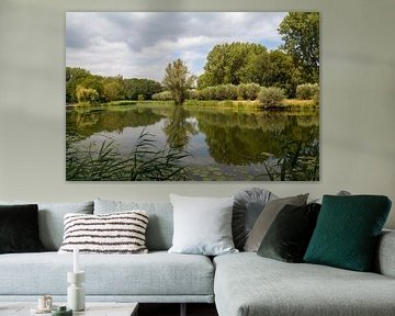 Reflections at the Biesbosch 1 by Nel Diepstraten