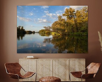 Reflections at the Biesbosch 1 by Nel Diepstraten