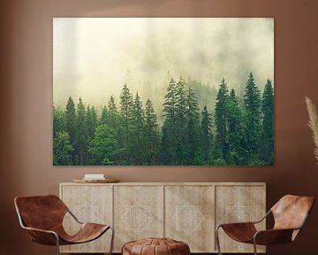 Coniferous forest in the fog by Roger VDB