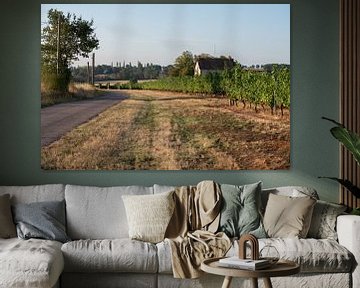 Franse platteland met zicht op een wijngaard