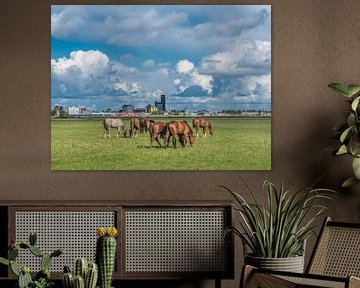 Zicht op de skyline van Leeuwarden met paarden op de voorgrond by Harrie Muis