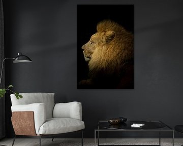 Portret van een Leeuw by Thomas Paardekooper