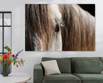 camargue paard van Claudia Moeckel